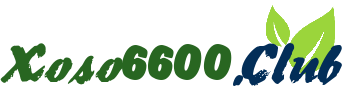 Xoso6600